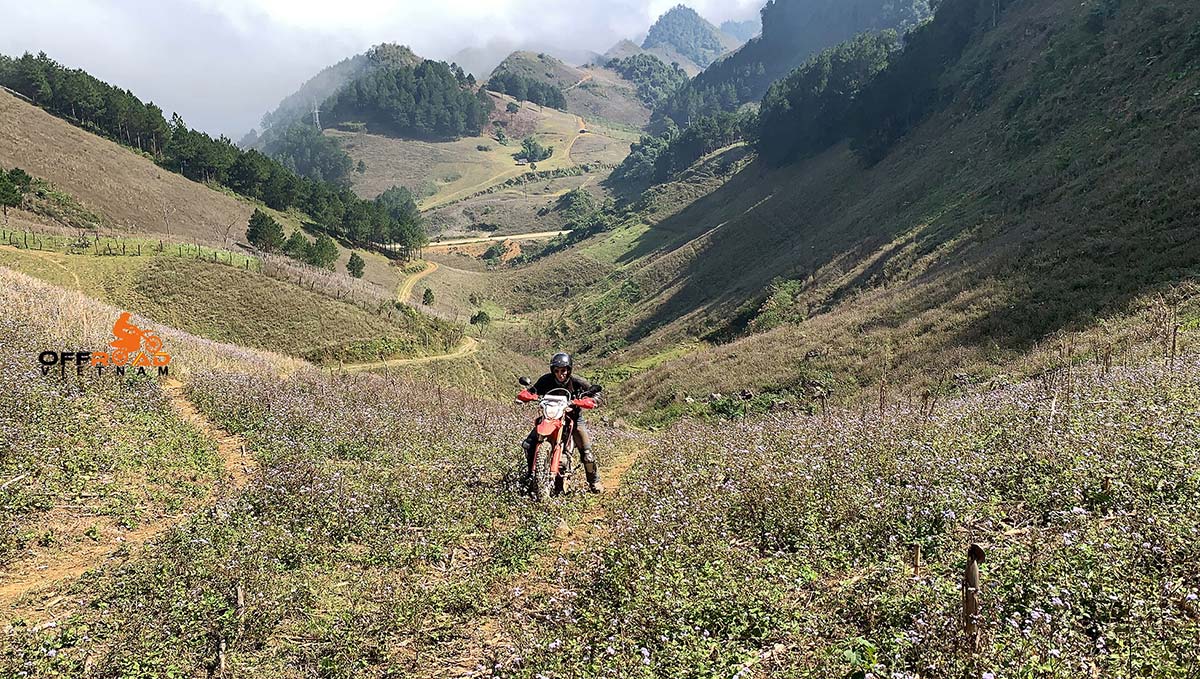 Mai Chau Motorbike Tour - Best Two Days Escape Away From Hanoi guided motorcycle tours