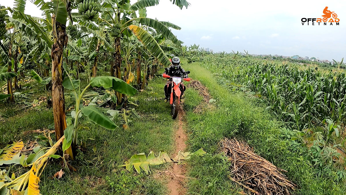 One Day Motorbike Tour Around Hanoi - Vietnam Motorbike Hanoi Rental. Ba Vi and Duong Lam is the popular route.