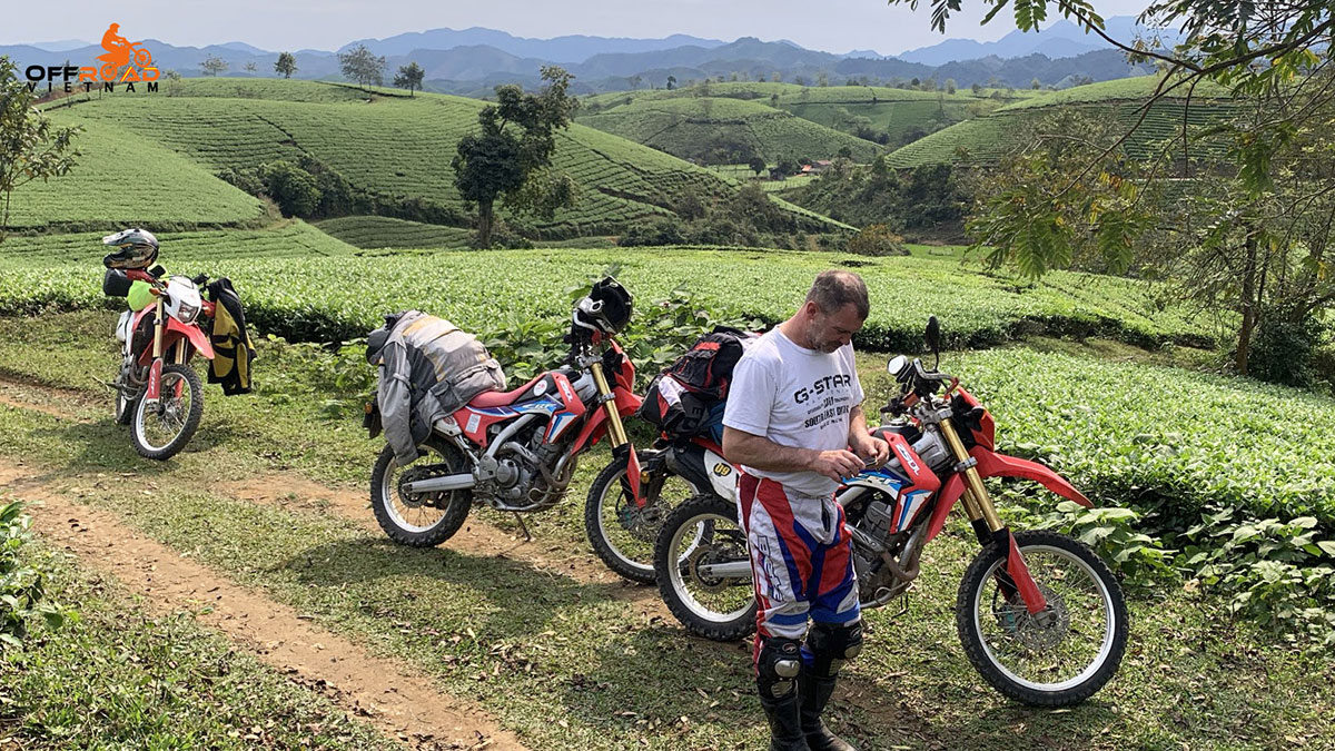Mai Chau Motorbike Tour - Best Two Days Escape Away From Hanoi guided motorcycle tours through green tea